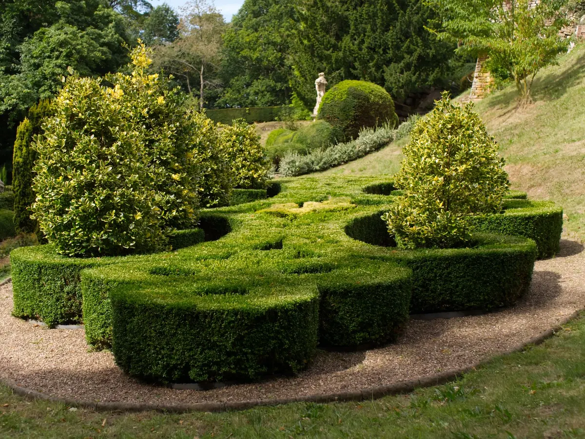 Intricate topiary design in a lush landscaped garden