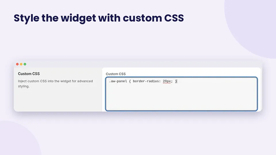 AccessiWidget settings showing the custom CSS field for styling the widget