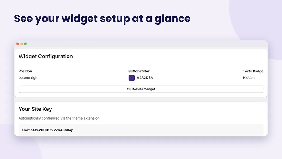 AccessiWidget merchant dashboard with scan and related tools